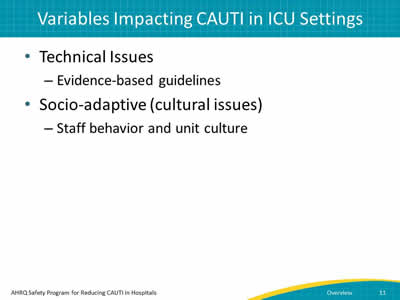 Technical issues: Evidence-based guidelines and Socio-adaptive (cultural issues): Staff behavior and unit culture.
