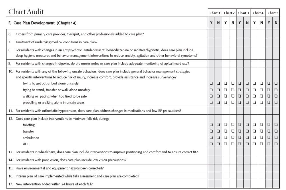 Page 2 of Chart Audit of the FMP Self-Assessment Tool. Go to [D] Text Description for details.
