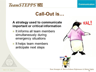 Text Description is below the image. Image: A penguin wearing a scrub top shouting, 'Seal!'