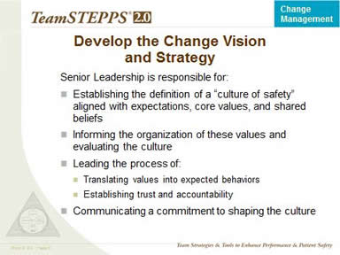 Develop the Change Vision and Strategy