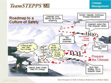 Roadmap to a Culture of Safety. Image: Penguins try various strategies to find their way to safety.
