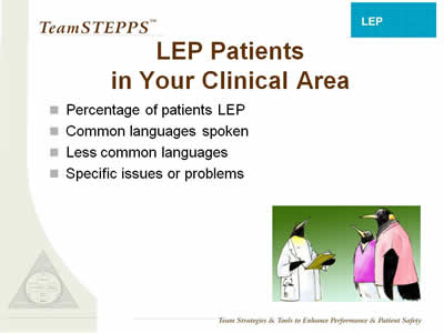 Text: Percentage of patients LEP; Common languages spoken; Less common languages; Specific issues or problems.