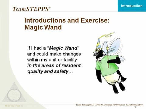 Text: If I had a 'Magic Wand' and could make changes within my unit or facility' in the areas of resident quality and safety... Image: A penguin is dressed like a fairy godmother with magic wand, gauzy fairy wings, a pointed hat, and cats-eye eyeglasses.