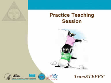 Cover slide: Practice Teaching Session. Image: One penguin stands on the shoulders of another to look over an obstacle.