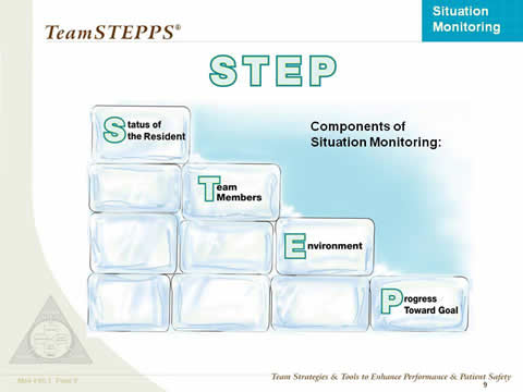 STEP: Diagram of ice blocks showing stepped arrangment, labeled: Status of the resident; Team members; Environment; Progress toward goal.