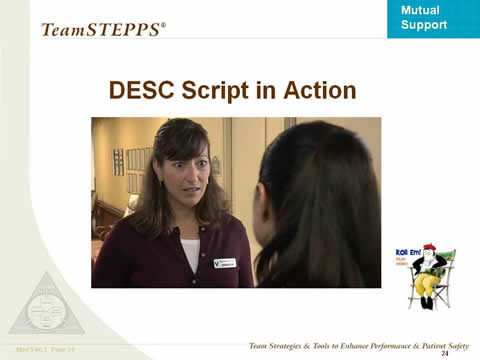 DESC Script in Action.