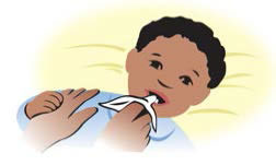 Drawing of an adult cleaning baby's teeth, with caption 'Clean your baby’s teeth with a clean, soft cloth or a baby toothbrush.'