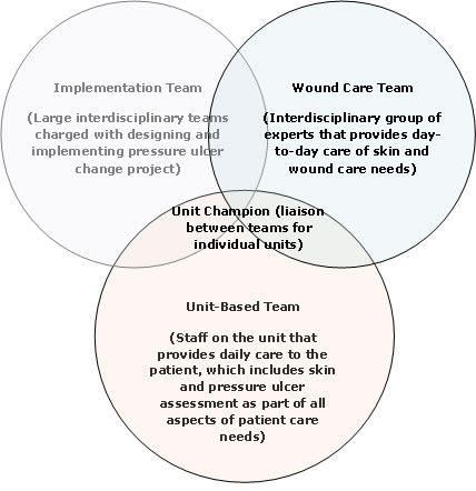 The figure consists of three overlapping circles. Text within the first circle reads, 'Implementation Team (Large interdisciplinary teams charged with designing and implementing pressure ulcer change project)'.  Text within the second  circle reads, 'Unit-Based Team (Staff on the unit that provides daily care to the patient, which includes skin and pressure ulcer assessment as part of all aspects of patient care needs)'. Text within the third circle reads, 'Wound Care Team (Interdisciplinary gro