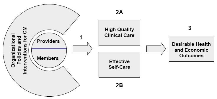 Exhibit showing the care management conceptual model.  For details, please go to [D] Test Description below.