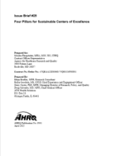 Four Pillars for Sustainable Centers of Excellence