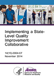 Implementing a State-Level Quality Improvement Collaborative