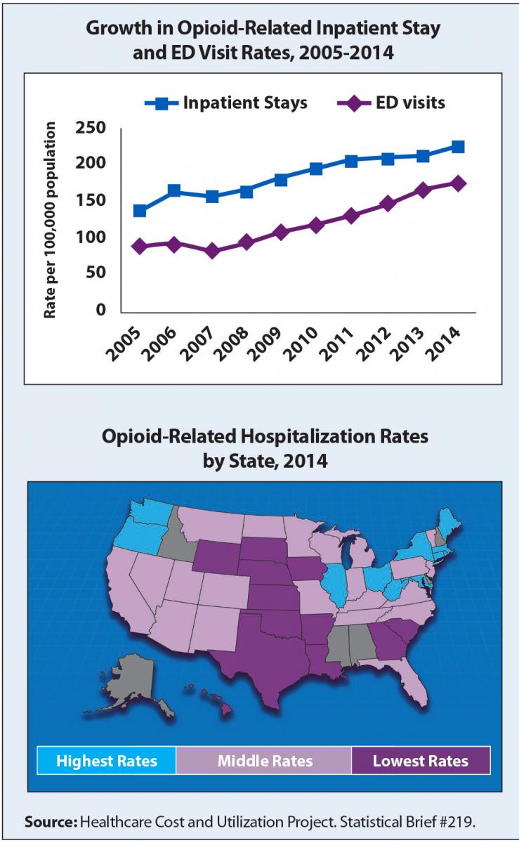 Graph showing increases in inpatient and ED stays from 2005 to 2014 related to opioids.