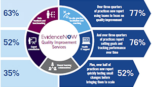 Increased Capacity for Quality Improvement in Small Primary Care Practices