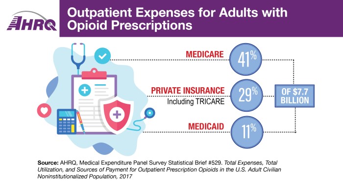 Outpatient Expenses for Adults with Opioid Prescriptions, 2017. Out of $7.7 Billion: Medicare, 41 percent; Private Insurance including TRICARE, 29 percent; Medicaid, 11 percent.
