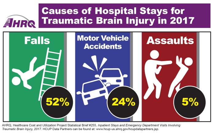 Causes of Hospital Stays for Traumatic Brain Injury in 2017: Falls - 52%, Motor Vehicle Accidents - 24%, Assaults - 5%.