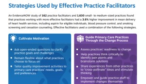 Strategies Used by Effective Practice Facilitators