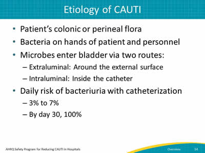 Patient's colonic or perineal flora. Bacteria on hands of patient and personnel. Microbes enter bladder via 2 routes: extraluminal and intraluminal. Daily risk of bacteriuria with catherization is 3-7%, and by day 30: 100%.