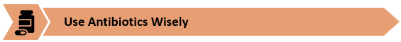 Use Antibiotics Wisely. Icon: Pill bottle and capsule.