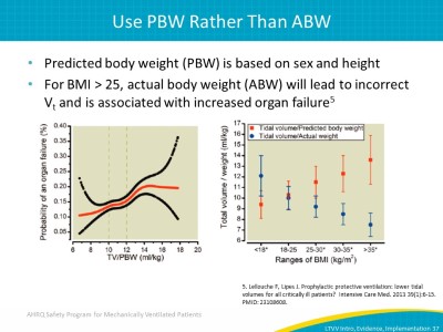 Text Description is below the image.