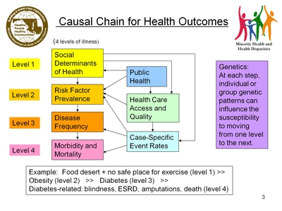 Causal Chain for Health Outcomes