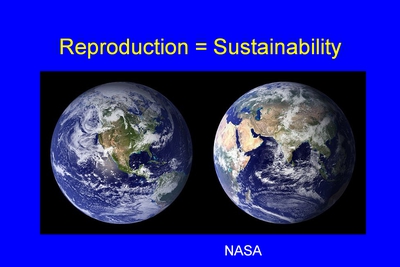 Reproduction = Sustainability