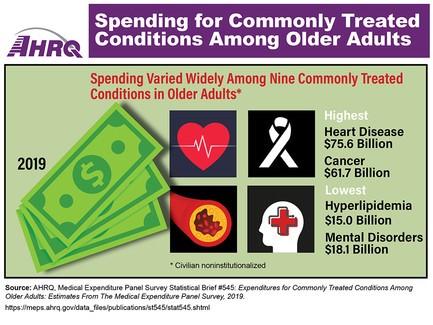 Spending for Commonly Treated Conditions Among Older Adults. Spending Varied Widely Among Nine Commonly Treated Conditions Among (Civilian noninstitutionalized) Older Adults, 2019: Highest - Heart Disease, $75.6 Billion; Cancer, $61.7 Billion. Lowest - Hyperlipidemia, $15.0 Billion; Mental Disorders $18.1 Billion.
