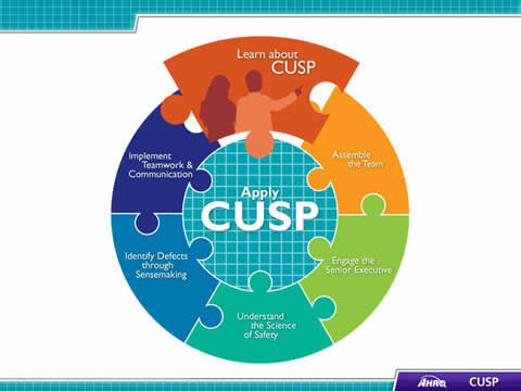 Image: CUSP Toolkit logo.