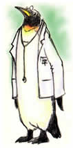 Drawing of a penguin doctor.