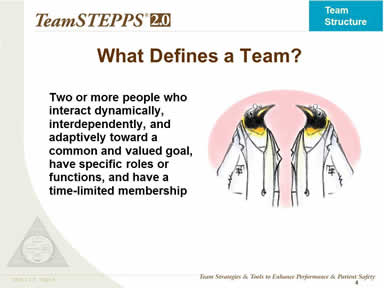 What Defines a Team?