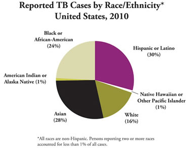 Pie chart showing TB cases by race/ethnicity.