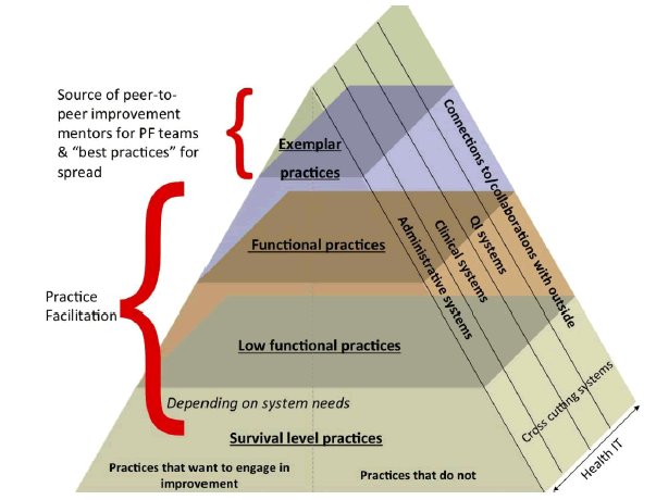 Diagram showing aspects of different practices that help triage them for practice facilitation. Exemplar practices are a source of peer-to-peer improvement mentors for PF teams and best practices for spread. Functional practices and  low functional practices are candidates for practice facilitation, depending on system needs. Survival level practices include practices that want to engage in improvement and practices that do not. 