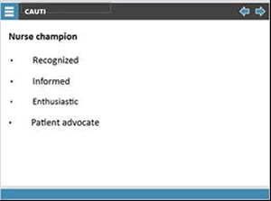 Nurse champion: recognized, informed, enthusiastic, patient advocate.