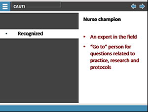 Nurse champion. Recognized: An expert in the field, "go to" person for questions related to practice, research, and protocols