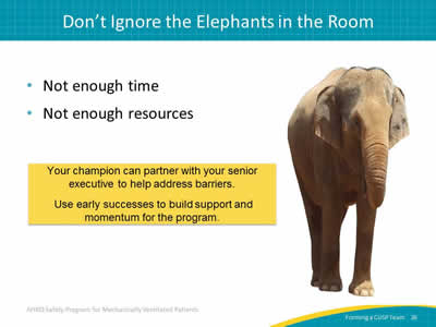 Not enough time. Not enough resources. Your champion can partner with your senior executive to help address barriers.  Use early successes to build support and momentum for the program. Image: Photograph of an elephant.