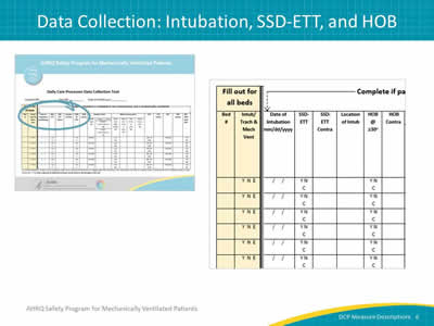 Slide 6: Image of the AHRQ Safety Program for Mechanically Ventilated Patients Daily Care Processes Data Collection Tool