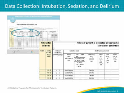Images: The Daily Early Mobility Data Collection Tool. Detail view of the intubation, sedation, and delirium columns of the data collection tool.