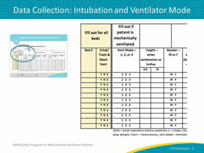 Image: Close up view of first columns of LTVV Data collection tool. Includes bed number, intubation/trach/mech vent status (Y/N/E), place to circle if Vent Mode category (1,2, or 3), and place to record height and gender.