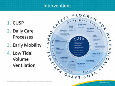 1. CUSP. 2. Daily Care Processes. 3. Early Mobility. 4. Low Tidal Volume Ventilation. Image: Infographic showing technical and adaptive interventions.