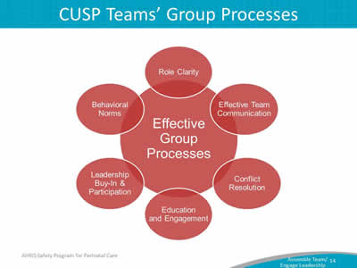 Image: Effective group processes include: role clarity, effective team communication, conflict resolution, education and engagement, leadership buy-in and support and norms.