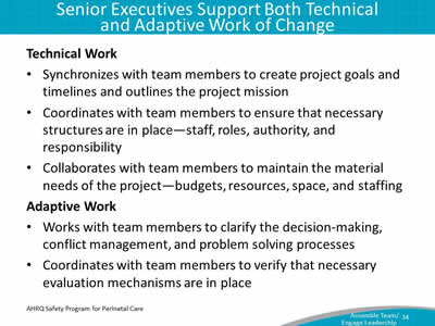 Senior Executives Support Both Technical and Adaptive Work of Change