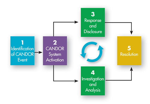 Figure 1 depicts the five components of the CANDOR process. 1. Identification of CANDOR Event. 2. CANDOR System Activation. 3. Response and Disclosure. 4. Event Investigation and Analysis. 5. Resolution. Components 2 through 5 are a cyclical process.