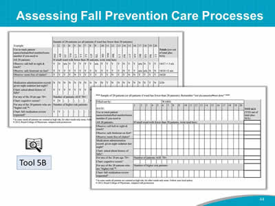 Assessing Fall Prevention Care Processes
