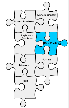 Drawing of jigsaw puzzle with the following pieces: Assess Readiness, Manage Change, Implement Practices, Best Practices, Measure, Sustain, Tools. Best Practices is highlighted.