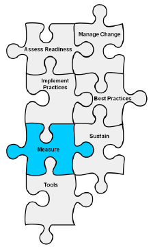 Drawing of jigsaw puzzle with the following pieces: Assess Readiness, Manage Change, Implement Practices, Best Practices, Measure, Sustain, Tools. Measure is highlighted.