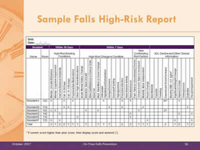 Image of sample Falls High-Risk Report.