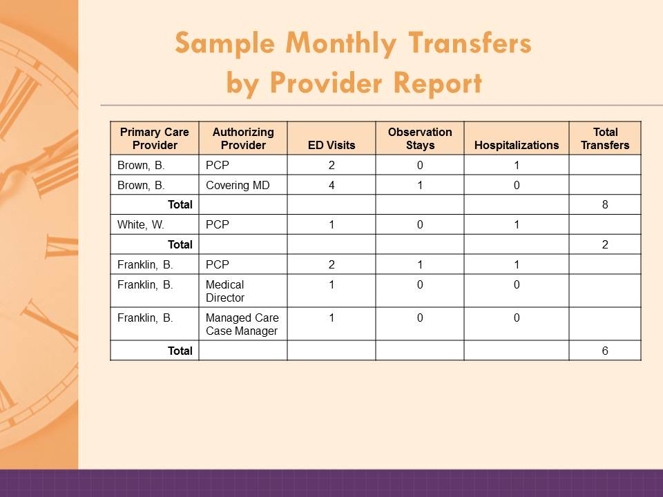 Sample monthly transfers by provider report