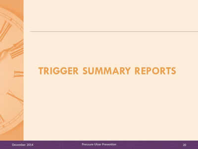 Slide 20: Trigger summary reports.