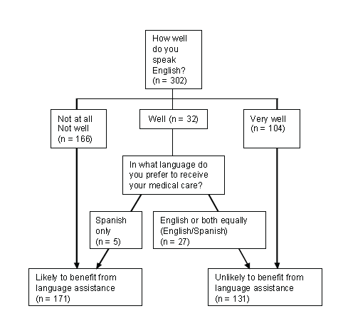 Flowchart showing how healthcare professionals determine if a speaker of a foreign language needs translation help. For details, go to [D] Text Description below.